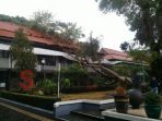 Pohon Beringin Timpa Kantor Wakil Bupati Garut