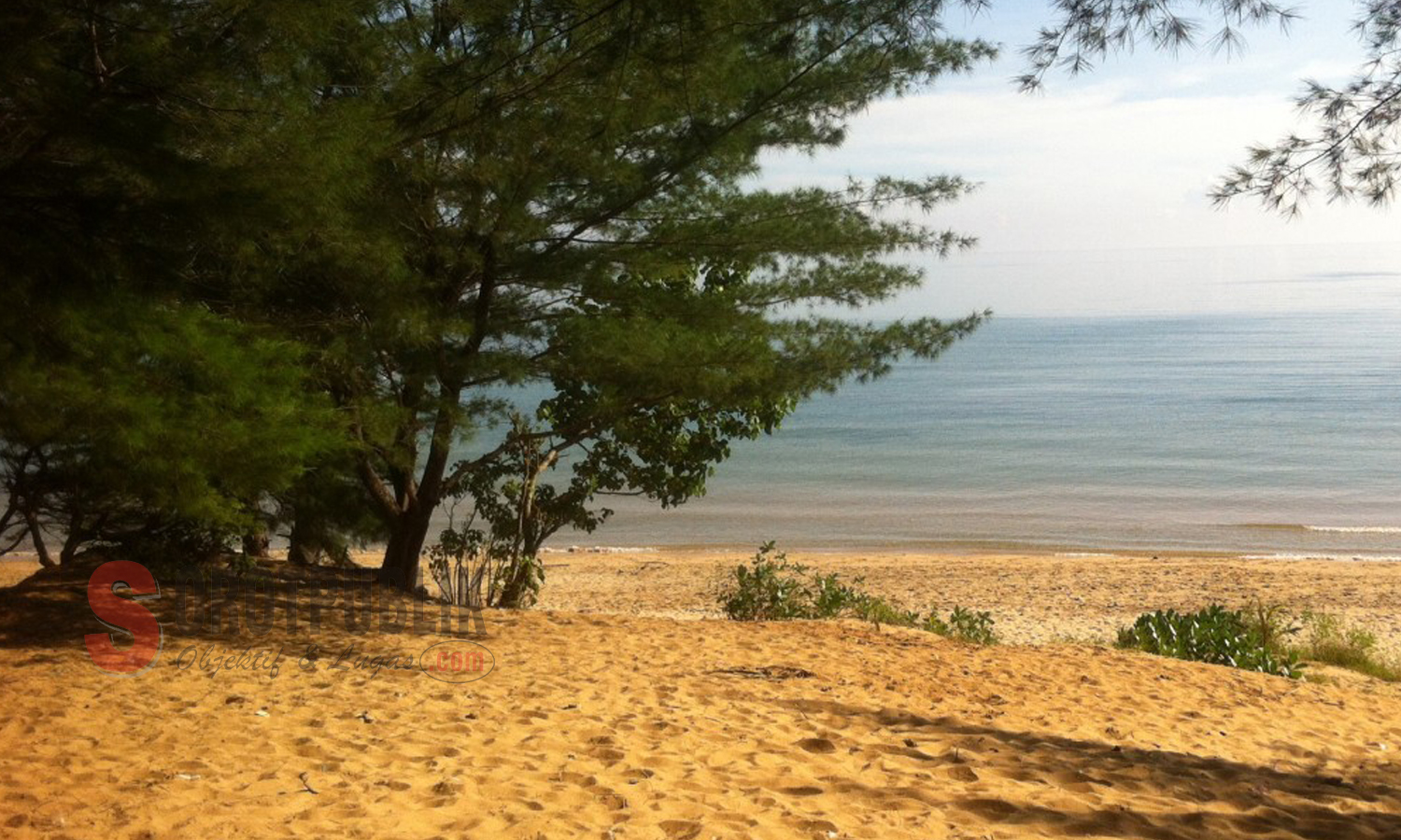 Bukit Pasir di Pantai Slopeng Kecamatan Dasuk Sumenep