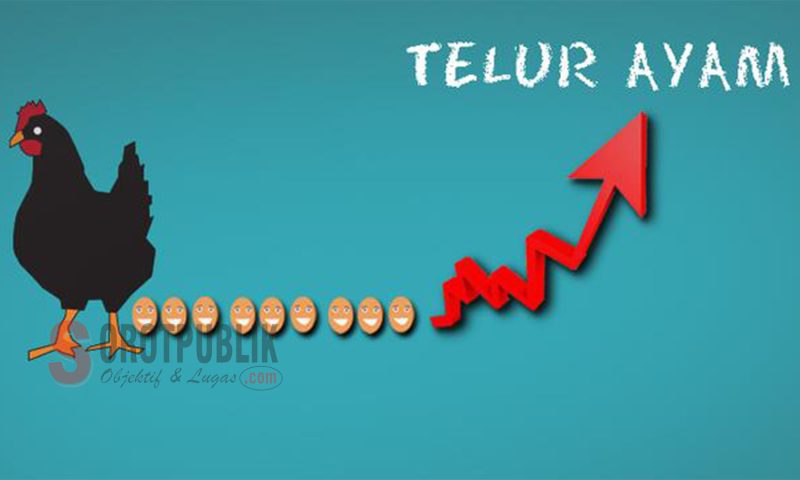 Ilustrasi Harga Telur Ayam Naik. (Ilustrasi: Ist/Liputan6)