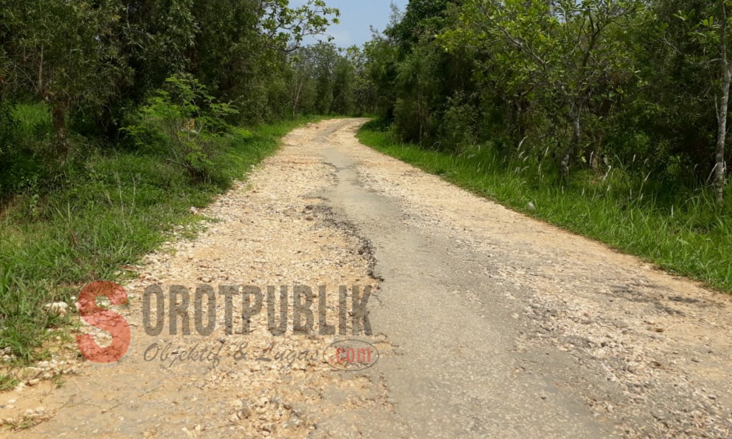 Salah satu bagian Jalan Perbatasan Desa Mantajun dan Desa Jabaan, Kecamatan Dasuk, Sumenep yang rusak parah. (Foto: Heri/SorotPublik)