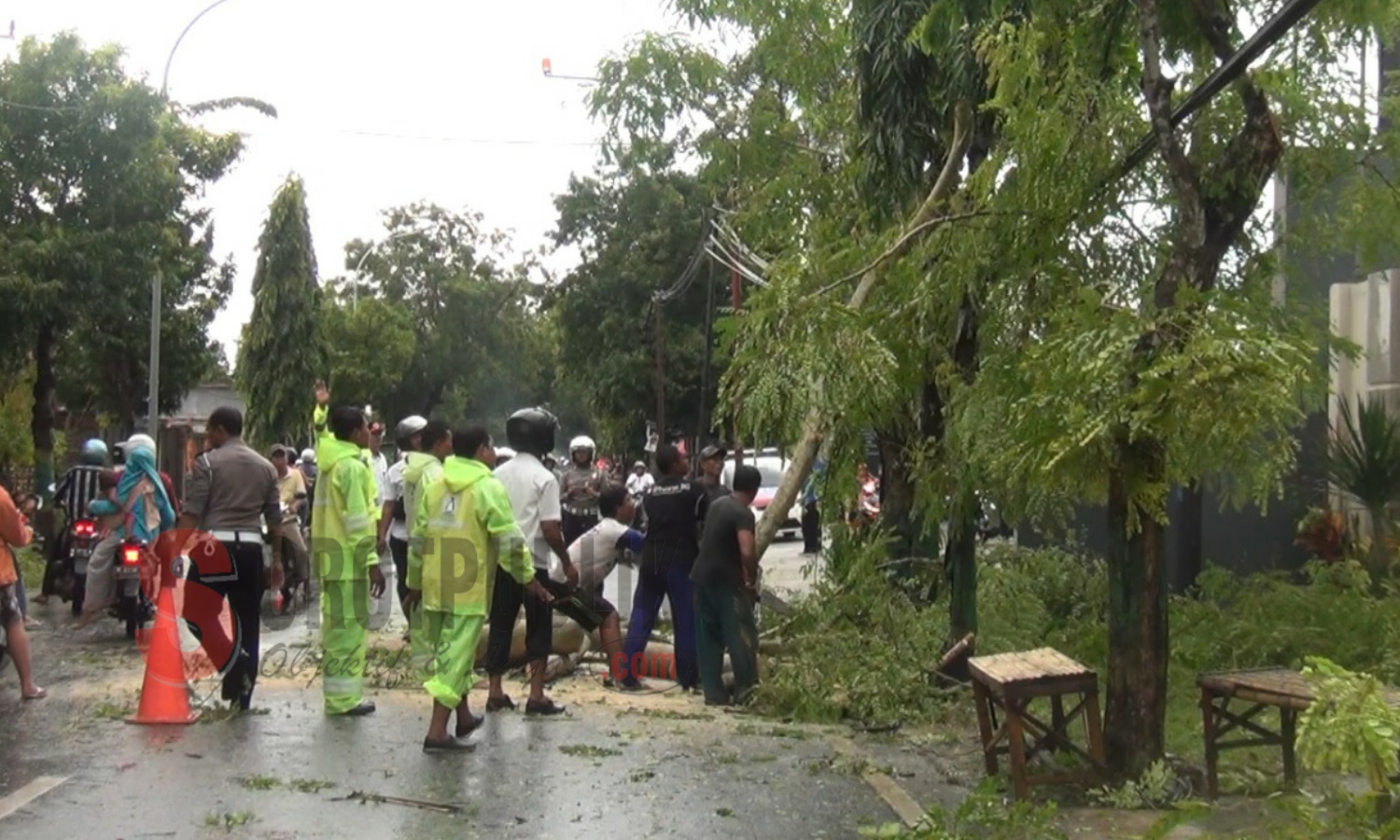 Para petugas BPBD Sumenep saat membersihkan salah satu pohon yang tumbang ke jalan. (Foto: Hairul/SorotPublik)