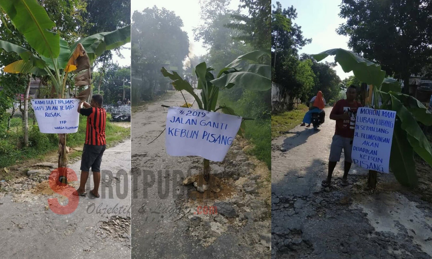 Foto aksi penutupan Jalan di Desa Blumbungan, Kecamatan Larangan, Pamekasan dengan pohon pisang oleh warga setempat. (Foto: Ziad/SorotPublik)