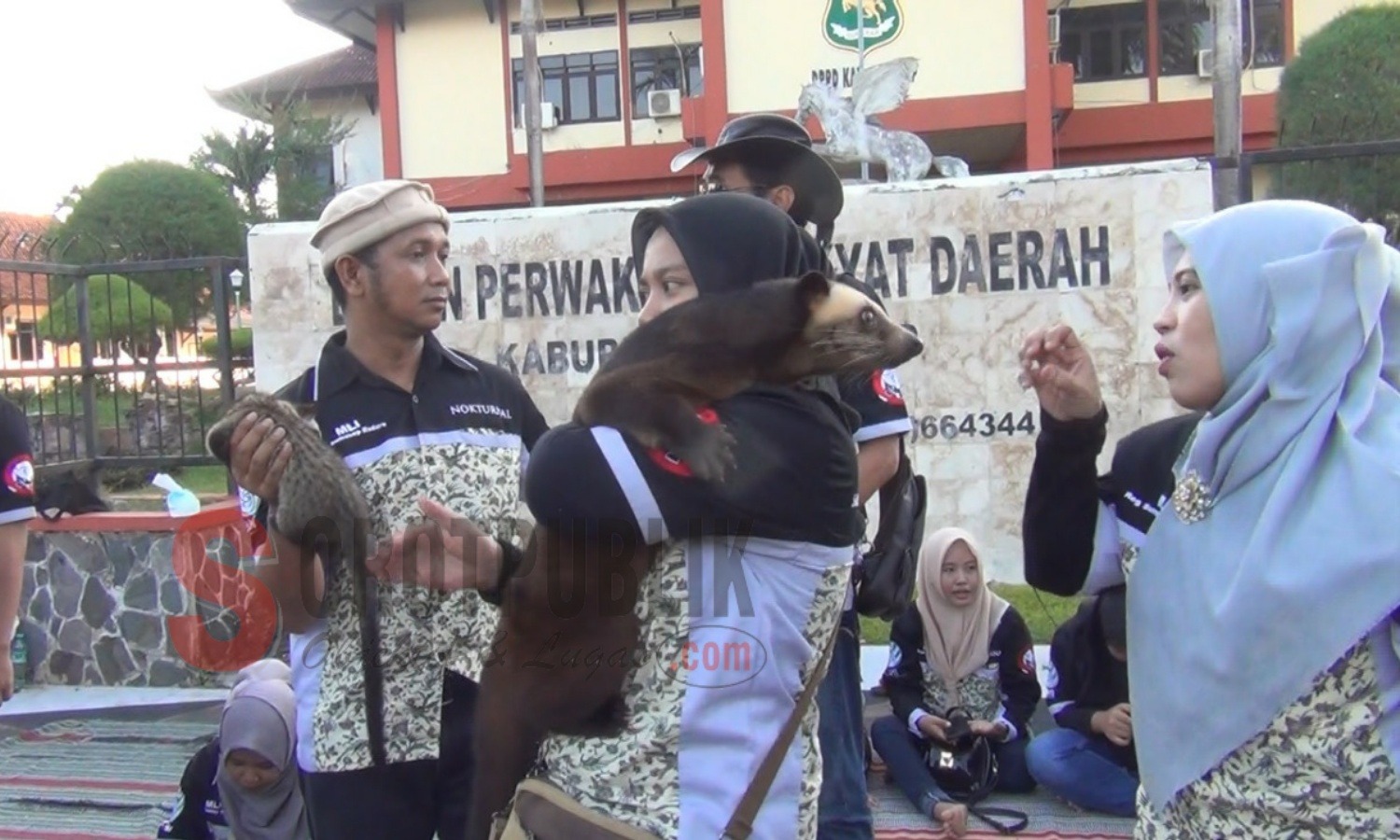 Suasana ngabuburit pecinta musang di depan Kantor DPRD Sumenep. (Foto: Hairul/SorotPublik)