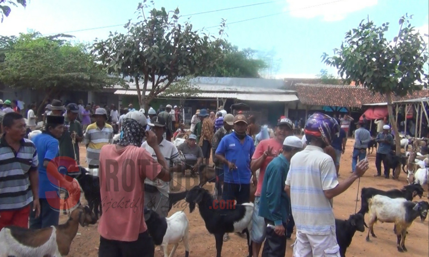 Suasana pasar hewan khusus kambing di Desa Pandian, Kabupaten Sumenep jelang Hari Raya Idul Adha atau Hari Raya Qurban 1440 Hijriah. (Foto: Hairul/SorotPublik)