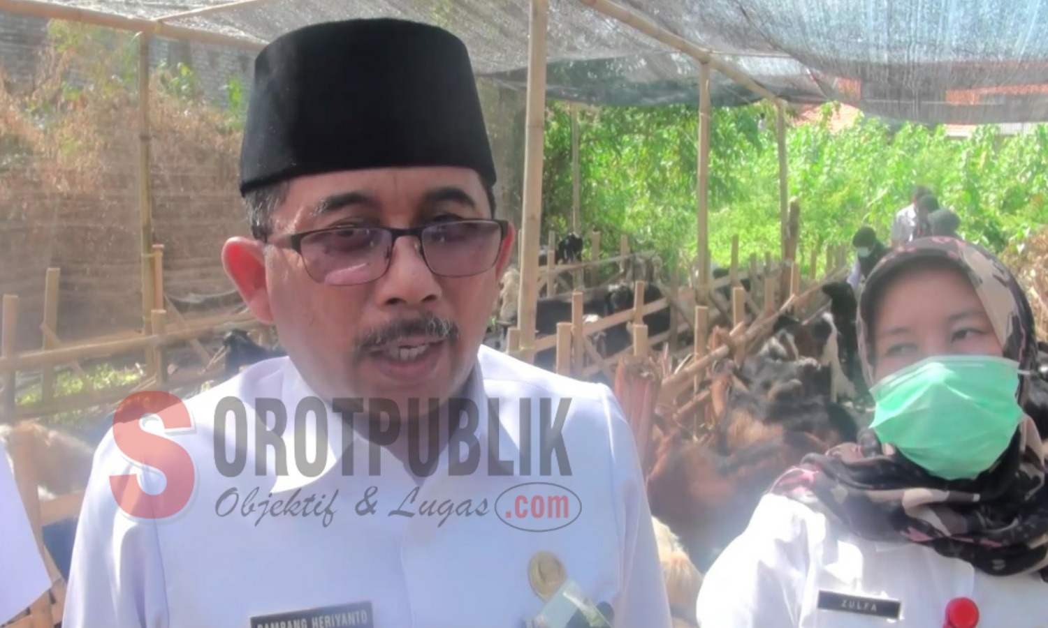 Kepala Dinas Ketahanan Pangan dan Peternakan (DKPP) Sumenep, Bambang Heriyanto saat melakukan Sidak ke sejumlah lokasi penyedia hewan qurban. (Foto: Hairul/SorotPublik)