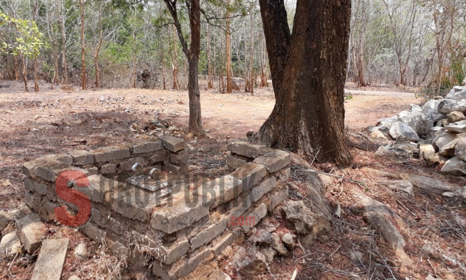 Kuburan keramat yang awalnya merupakan galian WC di Dusun Dejeh, Desa Jelbuden, Kecamatan Dasuk, Sumenep. (Foto: Heri/SorotPublik)