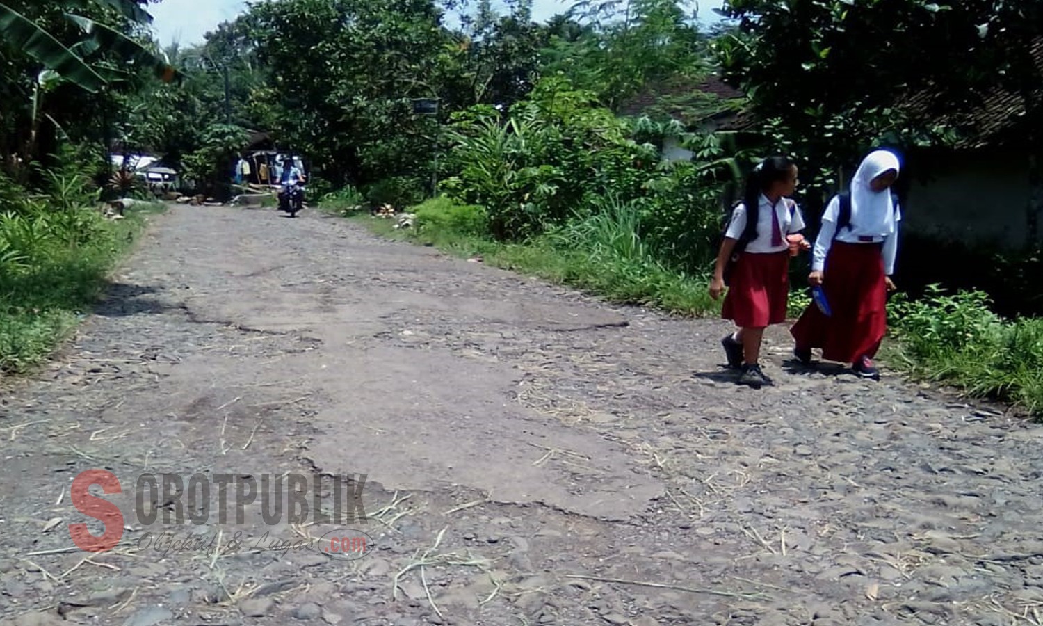 Jalan akses Desa Selodakon yang rusak parah Foto(Joko Triono SOROTPUBLIK.COM).