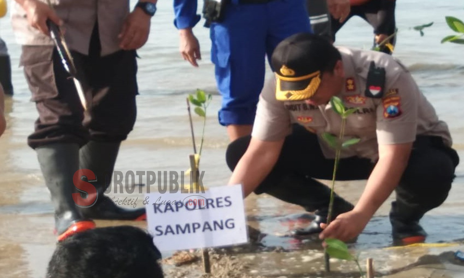 Kapolres Sampang saat ikut serta tanam magrove (Foto: Is/SOROTPUBLIK.COM)