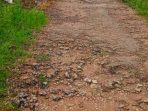 Akses Jalan di Dusun Pang Robbu Rusak Parah