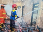 Sijago Merah Lalap Rumah di Desa Rongkemasan