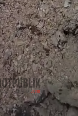 LSM Pantau Meminta Penegak Hukum Segera Usut Aspal Bisa Dikelupas