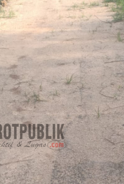 Pengaspalan di Desa Batubelah Barat Ditumbuhi Rerumputan
