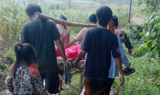 Akses Jalan Poros Desa Seperti Persawahan