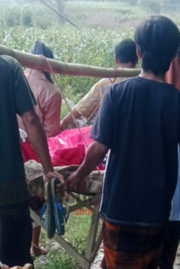 Akses Jalan Poros Desa Seperti Persawahan